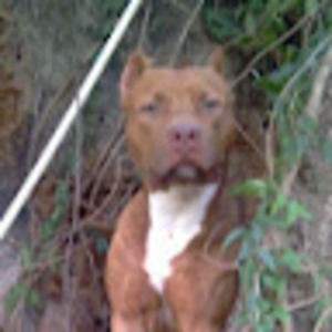 Meet your Posher, Omar